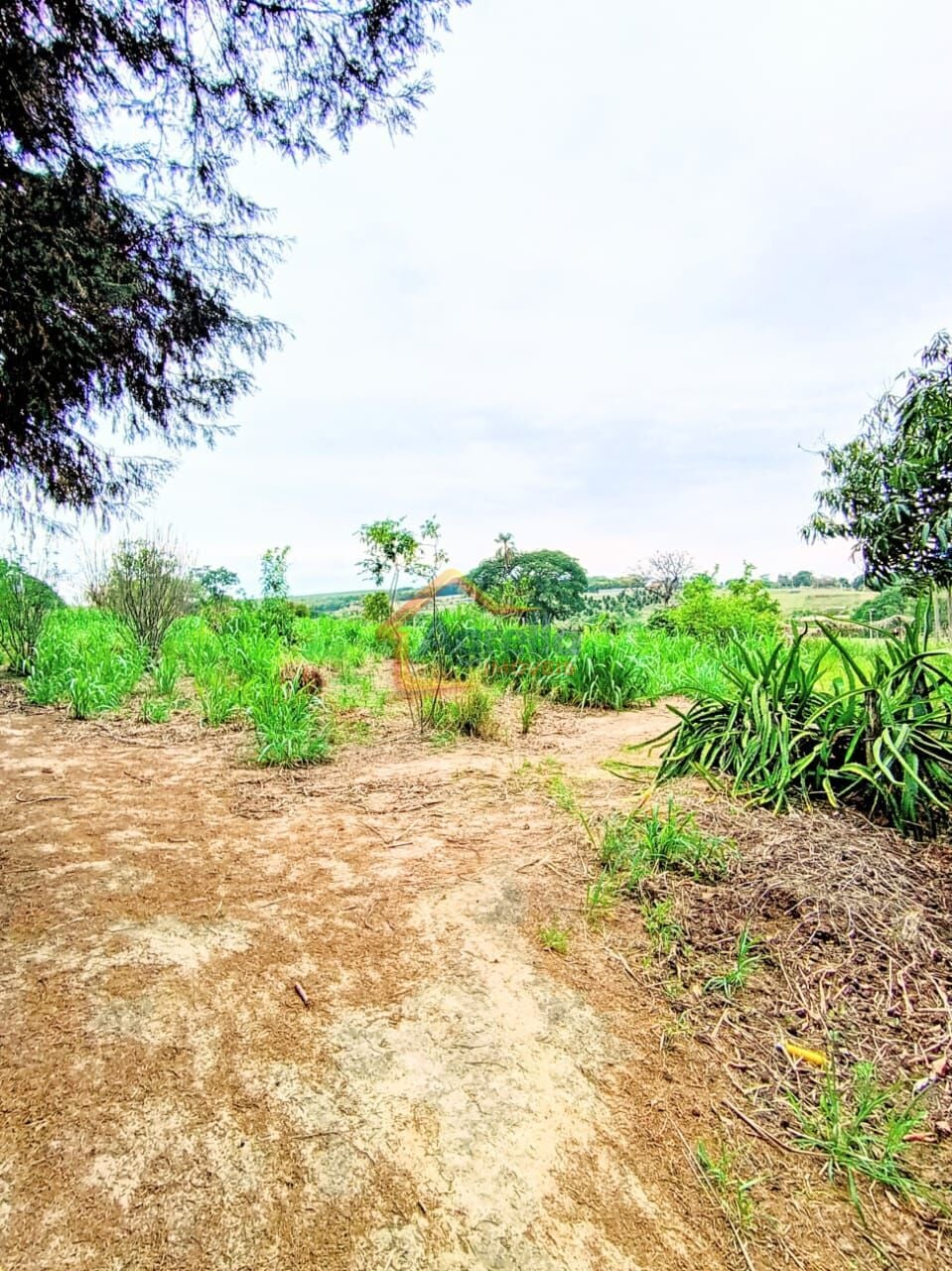 Chácara, 2 quartos, 2 hectares - Foto 39