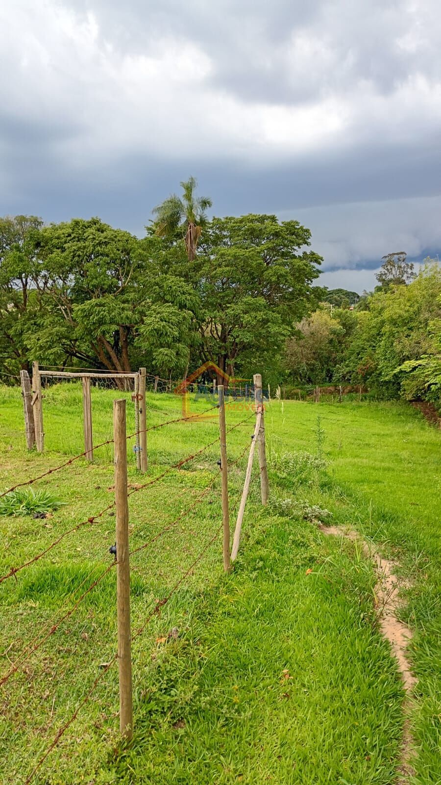 Chácara, 2 quartos, 2 hectares - Foto 41