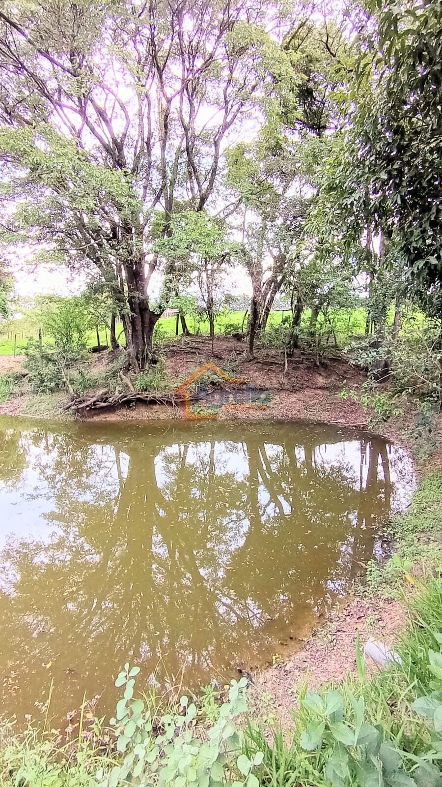 Chácara, 2 quartos, 2 hectares - Foto 4