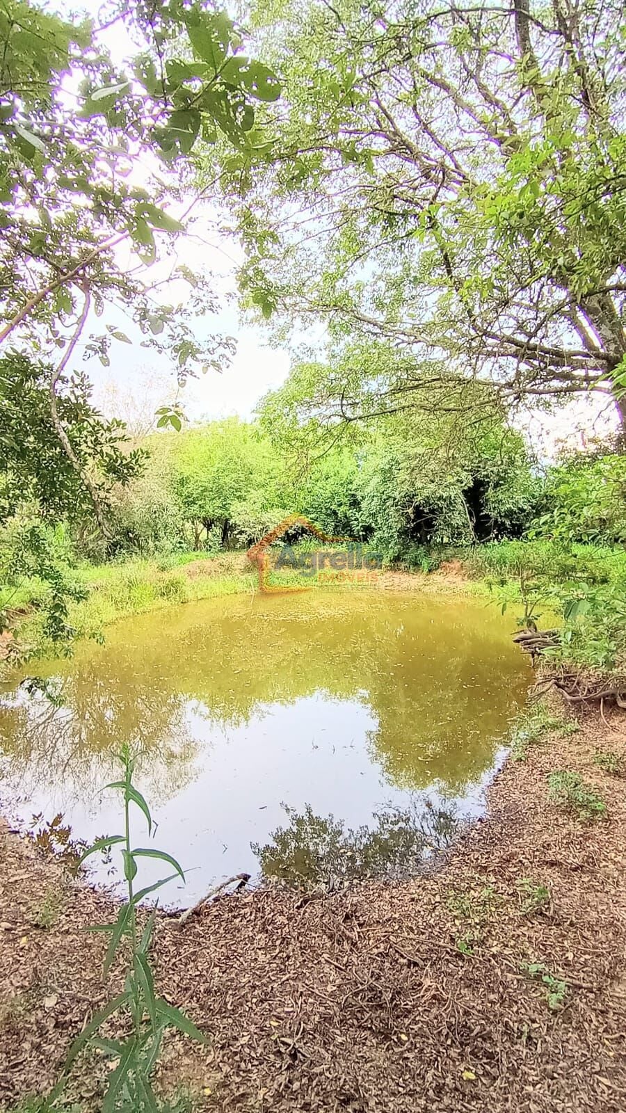 Chácara, 2 quartos, 2 hectares - Foto 1