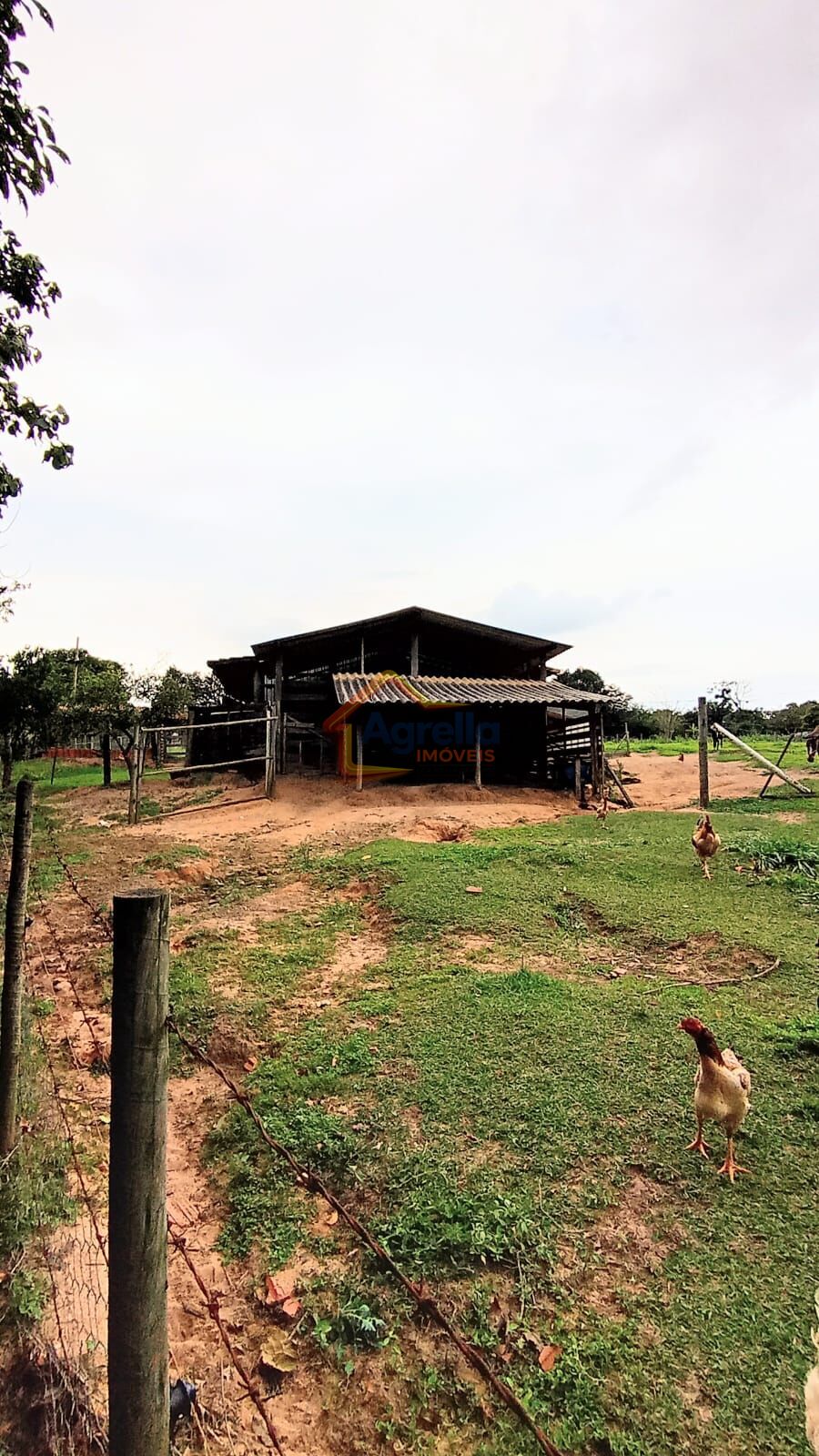 Chácara, 2 quartos, 2 hectares - Foto 20