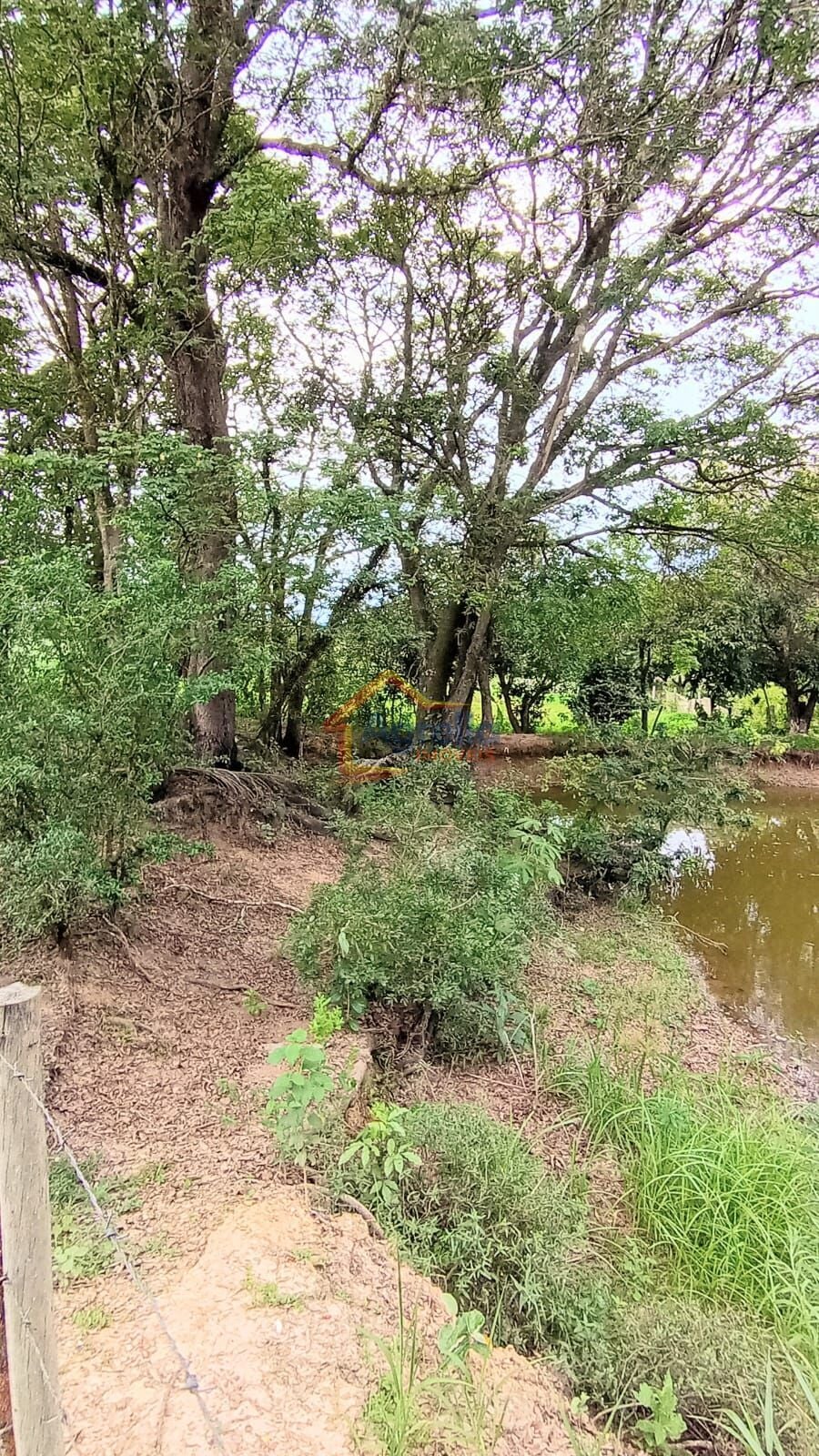 Chácara, 2 quartos, 2 hectares - Foto 6