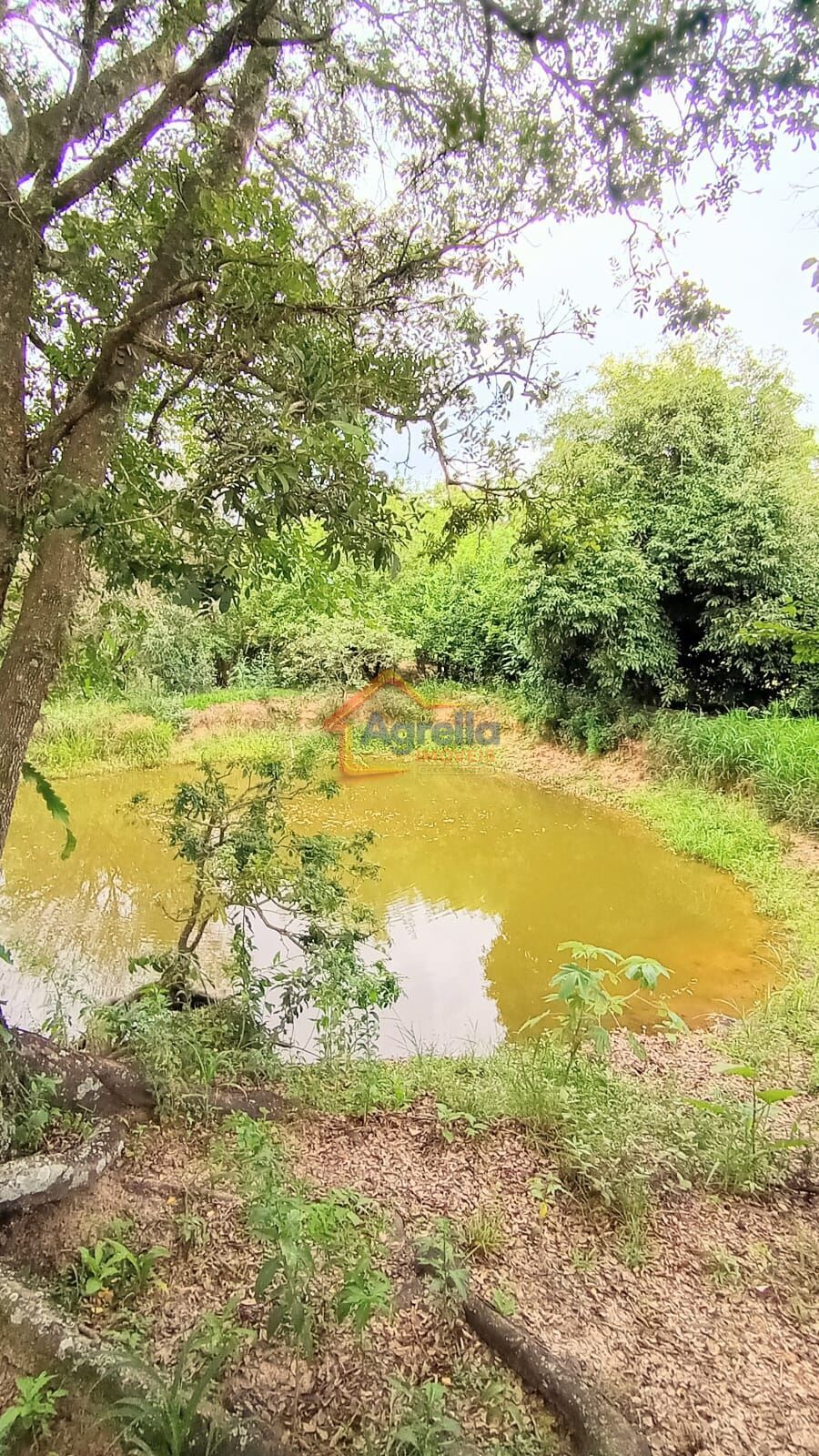 Chácara, 2 quartos, 2 hectares - Foto 3