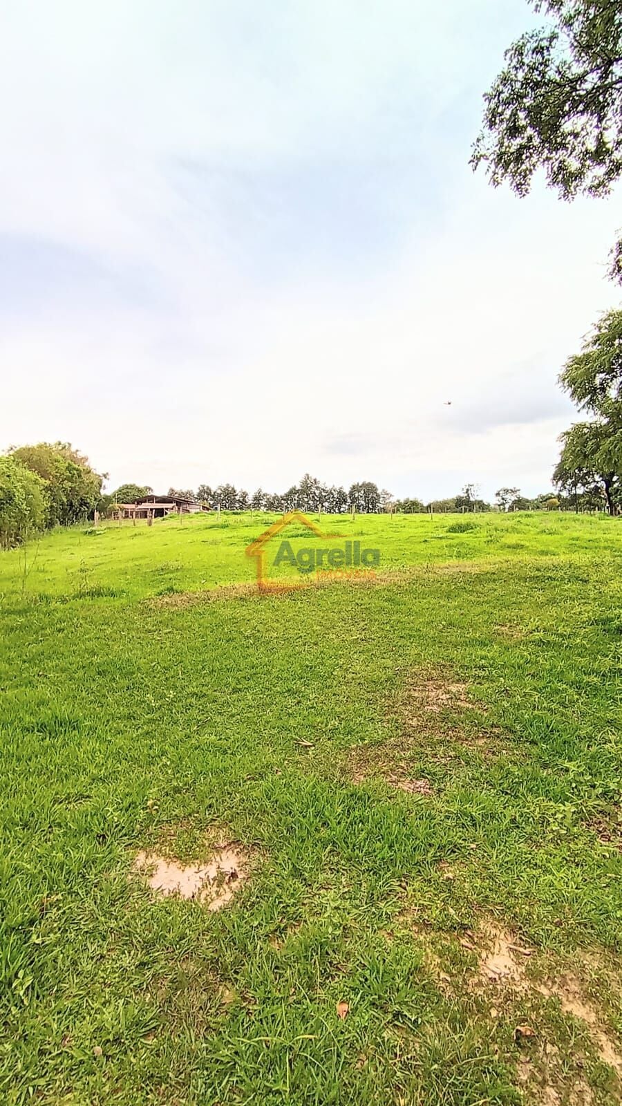 Chácara, 2 quartos, 2 hectares - Foto 13