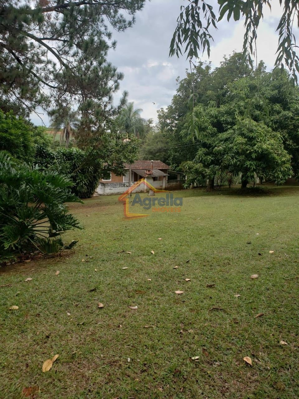 Sítio, 2 quartos, 290 m² - Foto 15