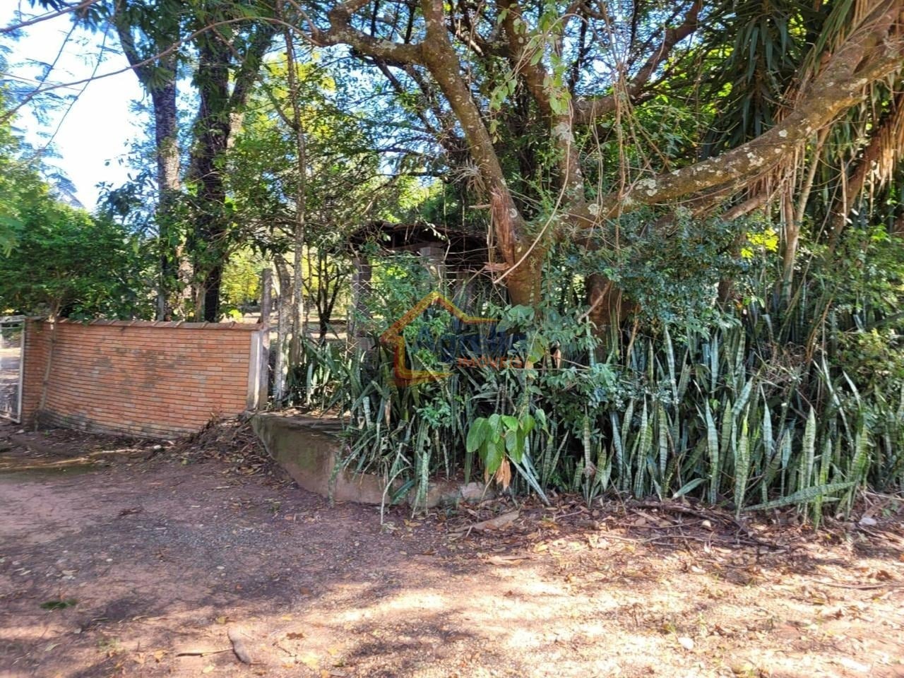 Sítio, 2 quartos, 290 m² - Foto 19