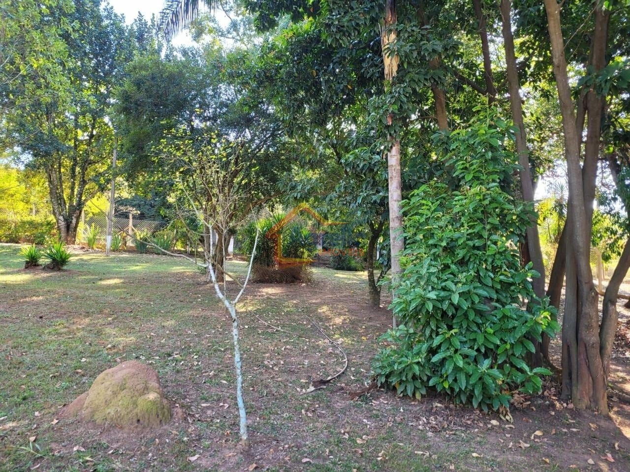 Sítio, 2 quartos, 290 m² - Foto 16