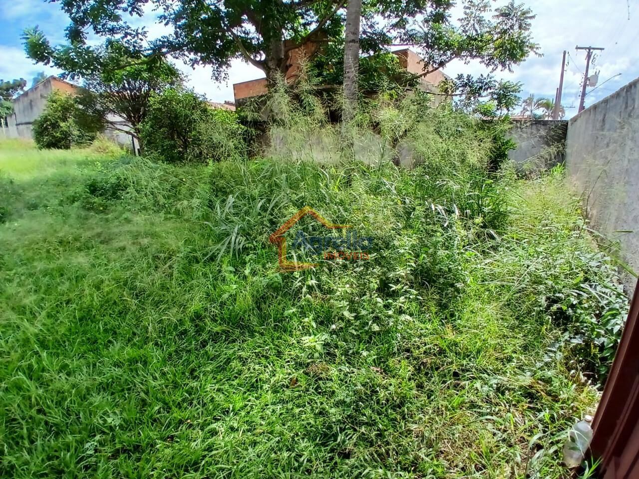 Sítio, 2 quartos, 1000 m² - Foto 8