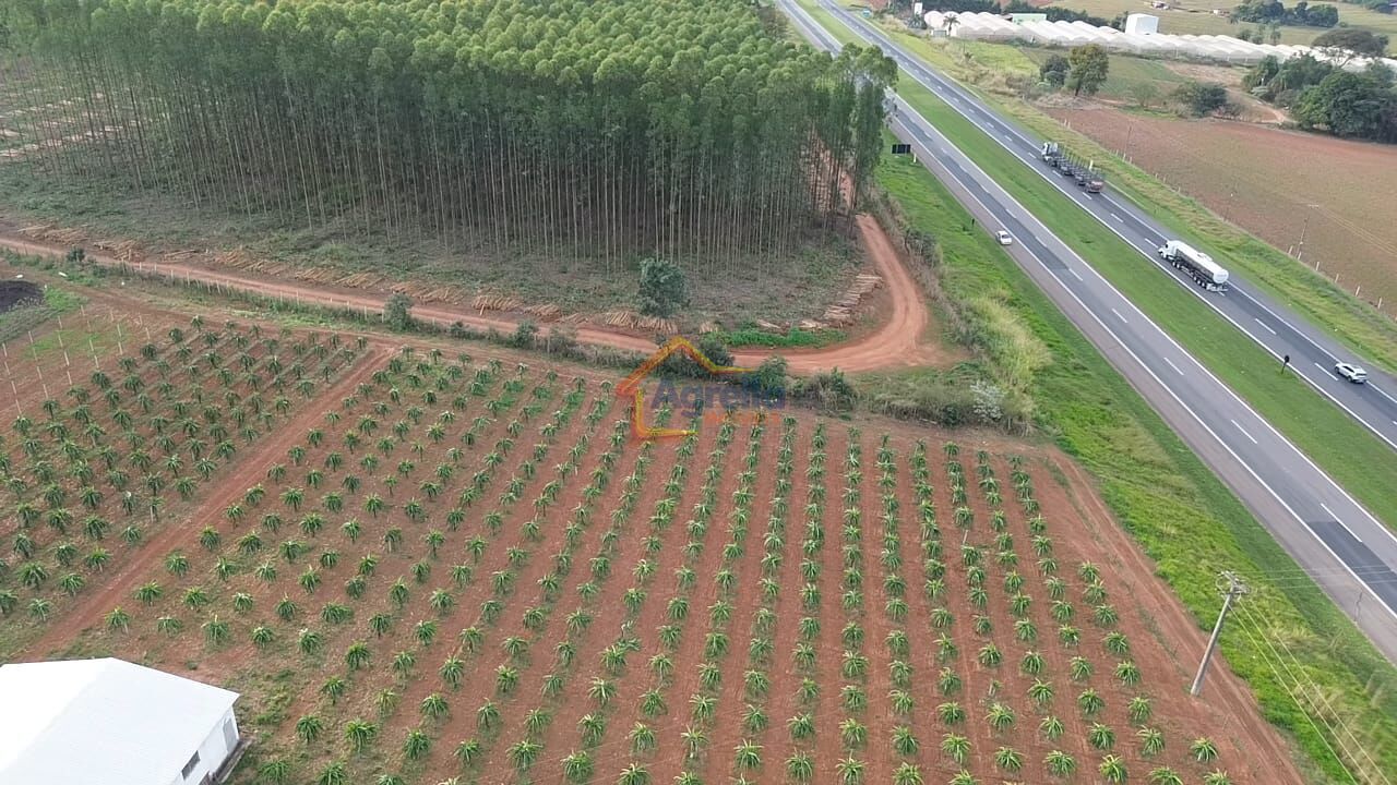 Chácara, 11 hectares - Foto 11
