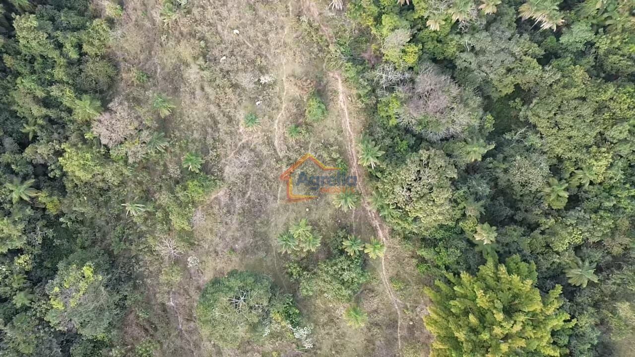 Chácara, 11 hectares - Foto 16