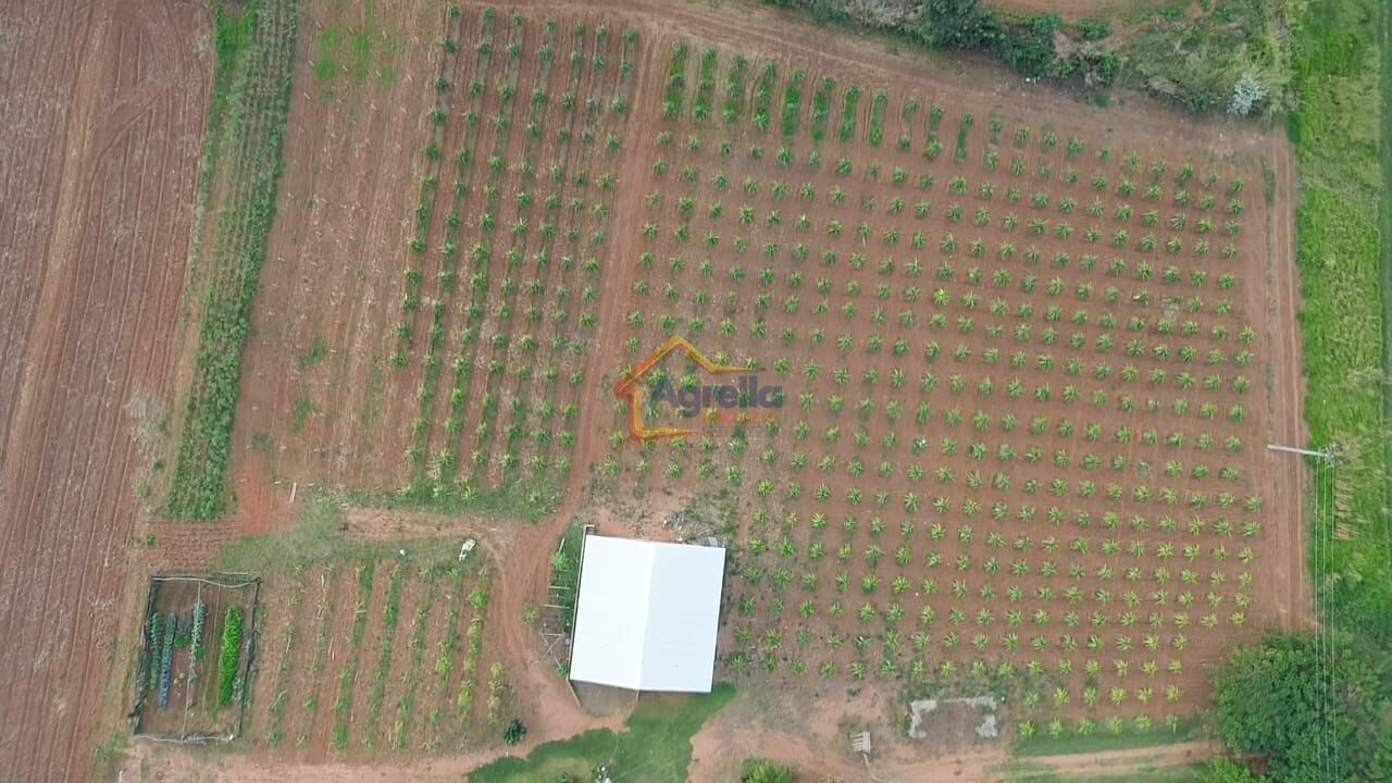Chácara, 11 hectares - Foto 10