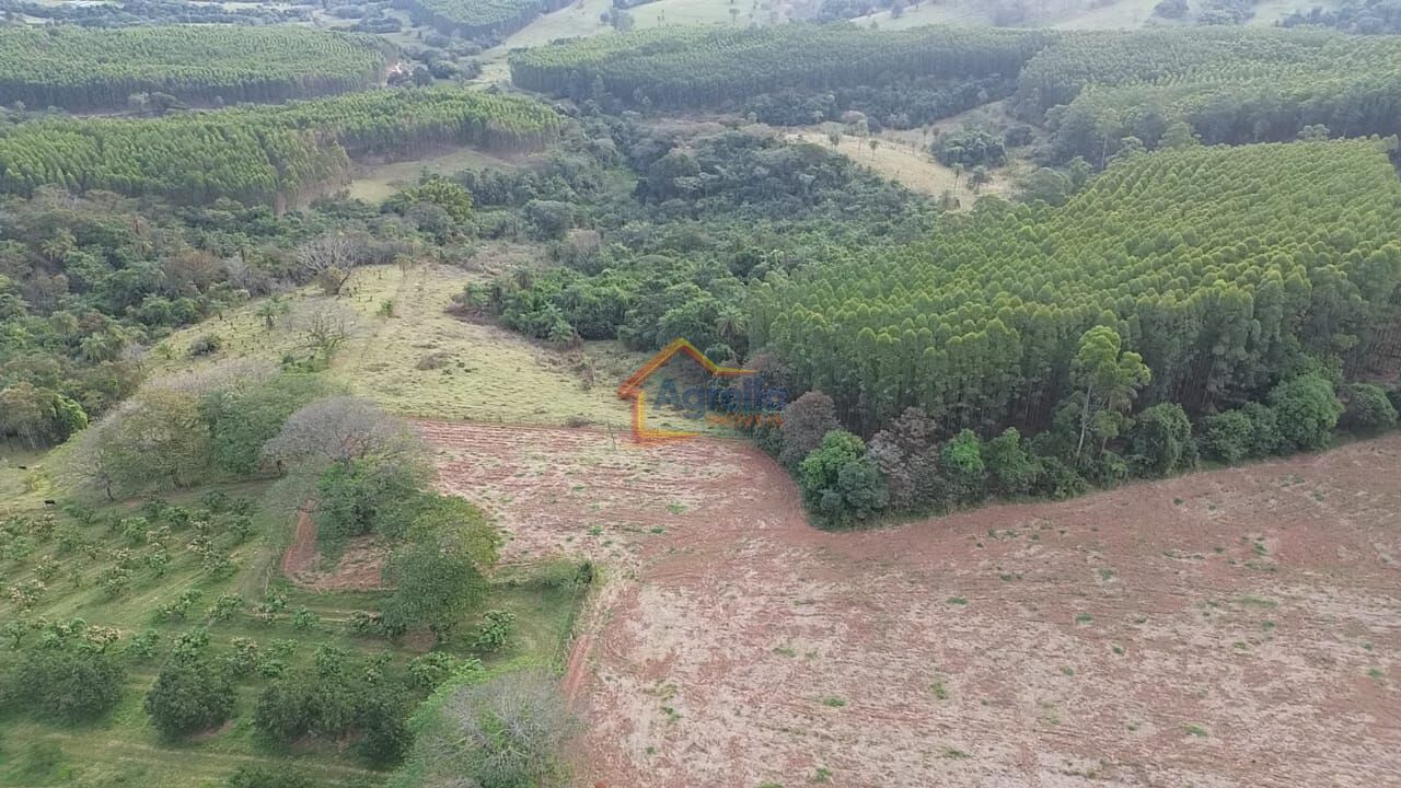 Chácara, 11 hectares - Foto 15