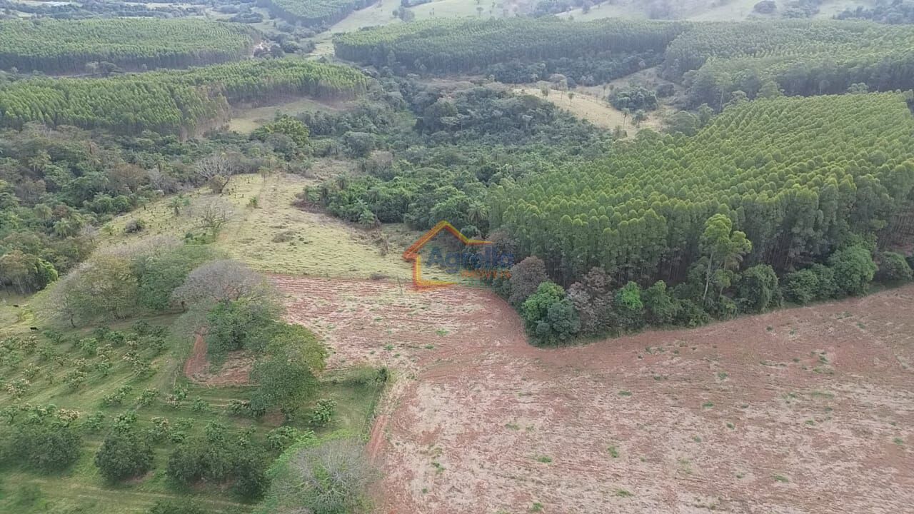 Chácara, 11 hectares - Foto 12
