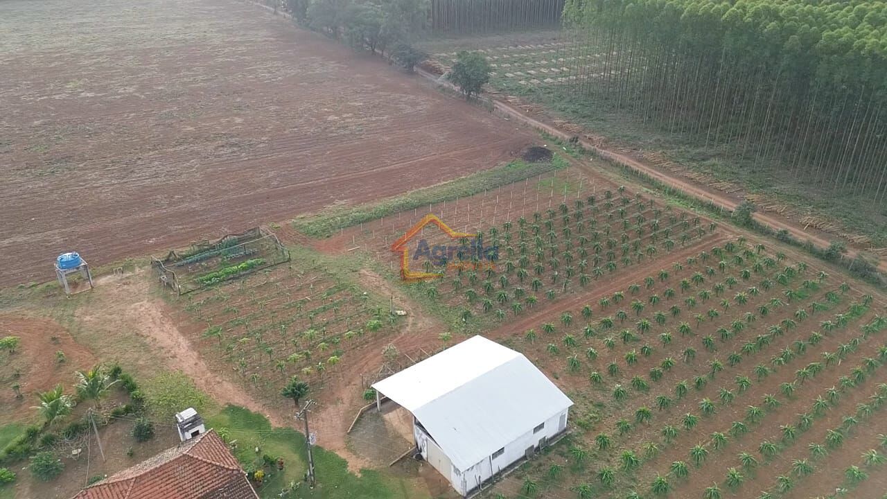 Chácara, 11 hectares - Foto 4