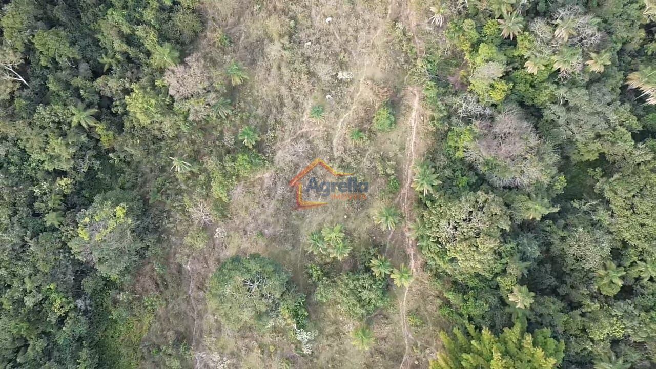 Chácara, 11 hectares - Foto 19