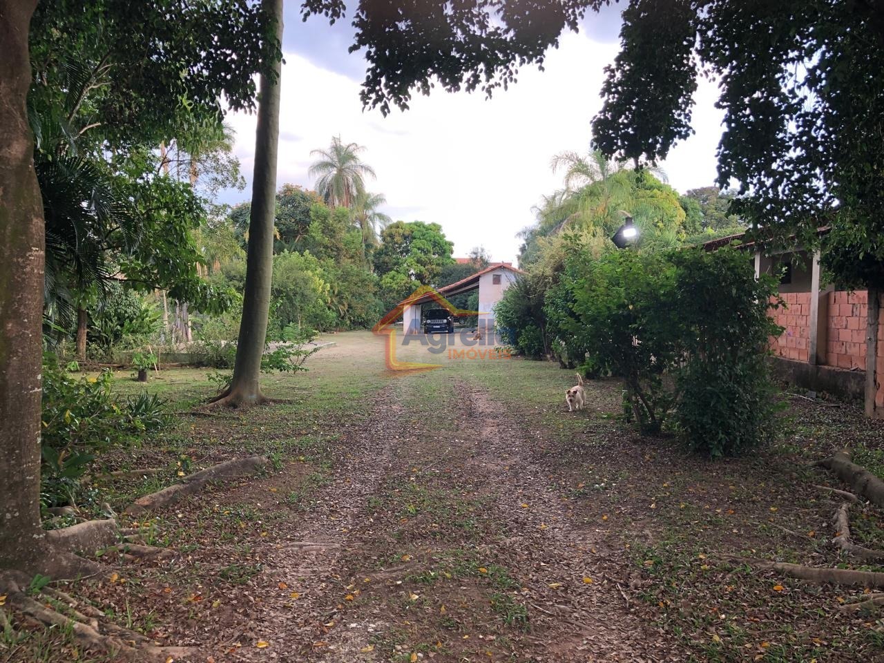 Sítio, 2 quartos, 66 m² - Foto 18