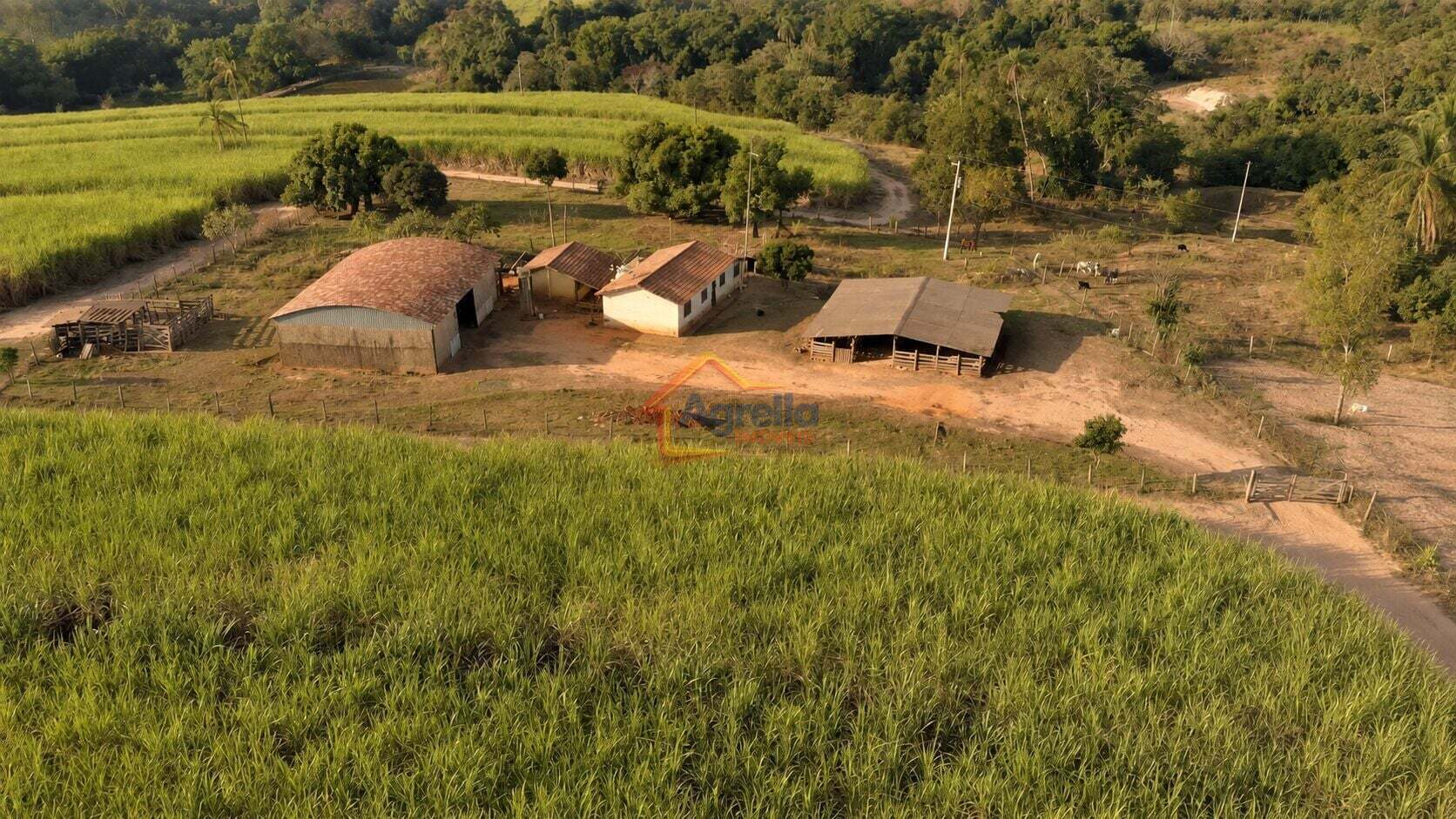 Chácara, 1 quarto, 7 hectares - Foto 24