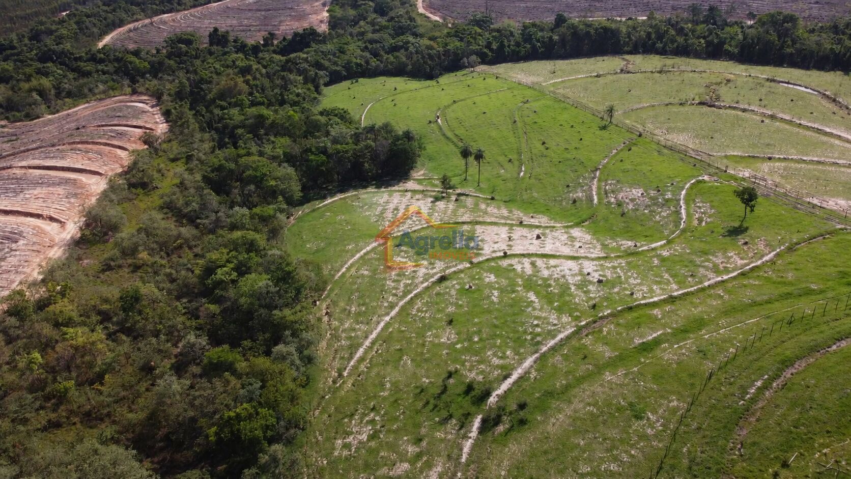 Chácara, 1 quarto, 7 hectares - Foto 11