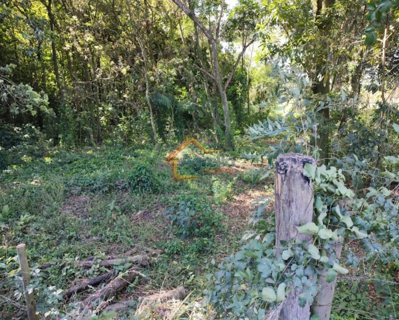 Chácara, 2 hectares - Foto 7