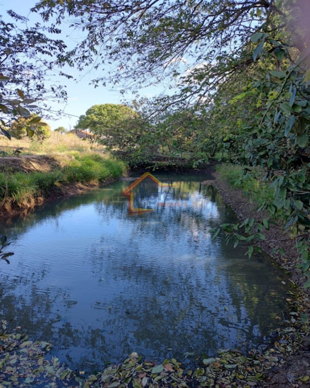 Chácara, 2 hectares - Foto 10