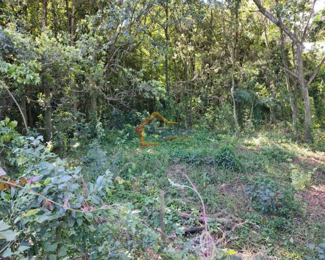 Chácara, 2 hectares - Foto 11