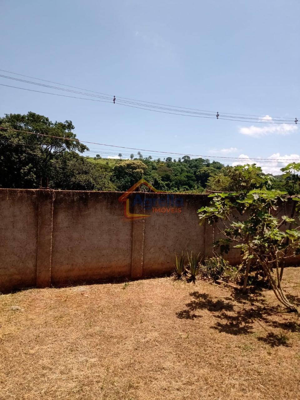 Sítio, 1 quarto, 550 m² - Foto 6