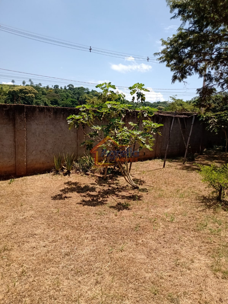Sítio, 1 quarto, 550 m² - Foto 10