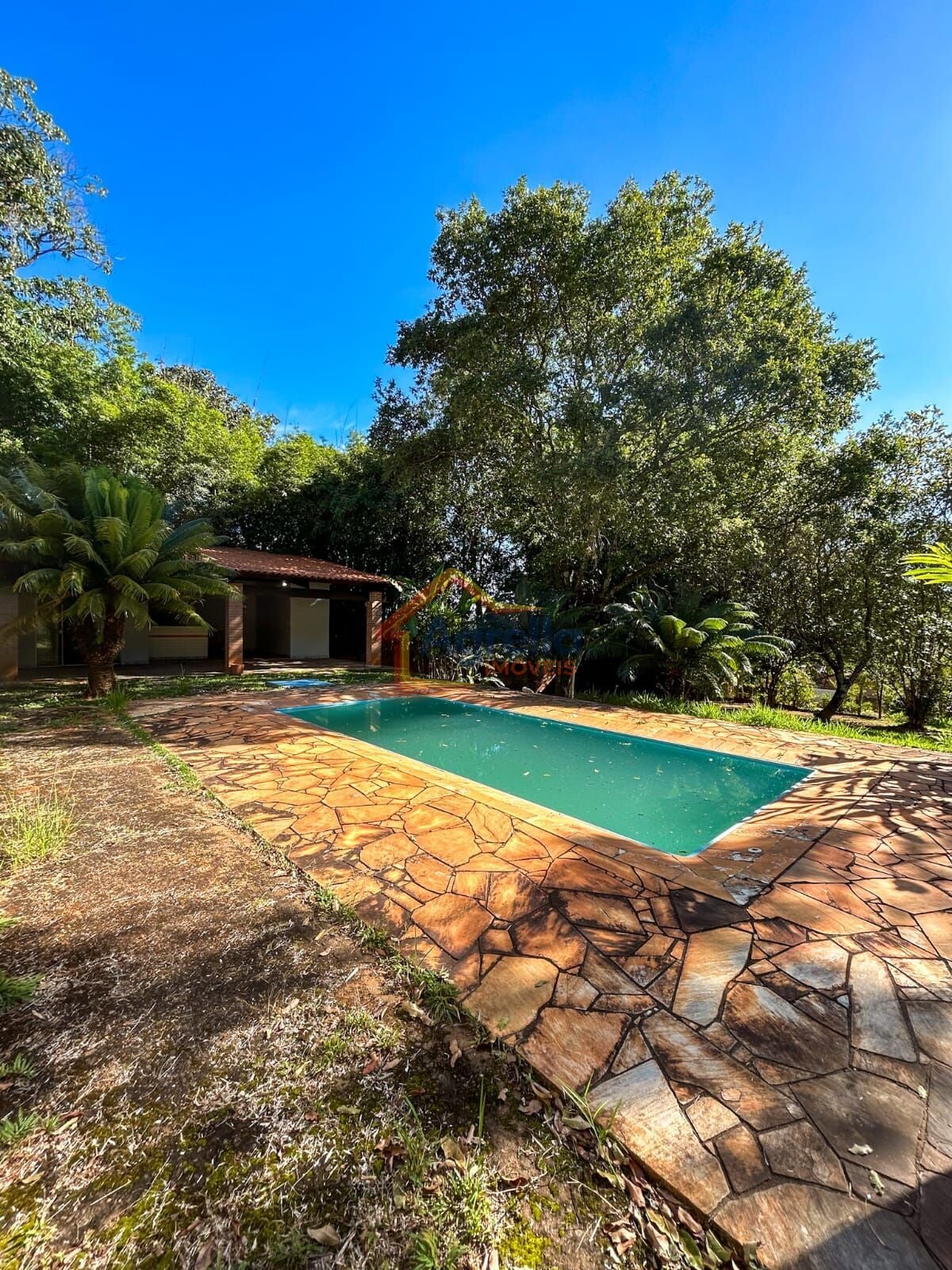 Chácara, 2 quartos, 1515 m² - Foto 4