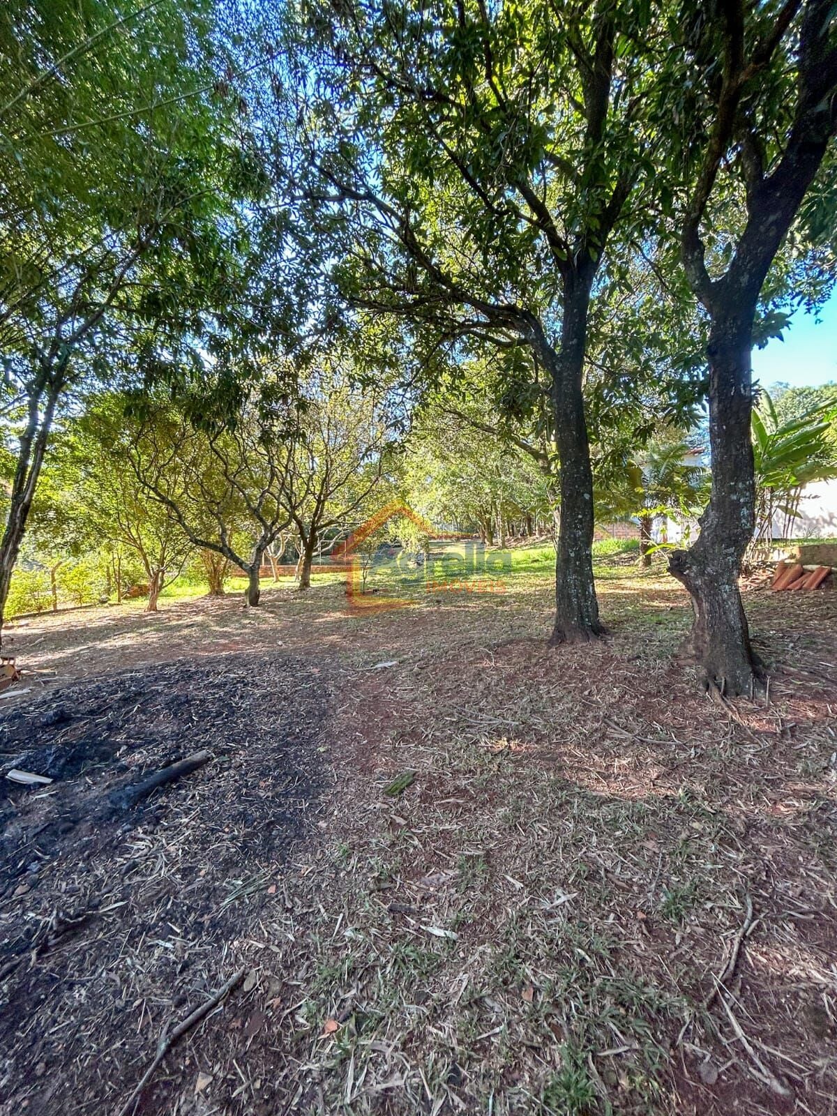 Chácara, 2 quartos, 1515 m² - Foto 40