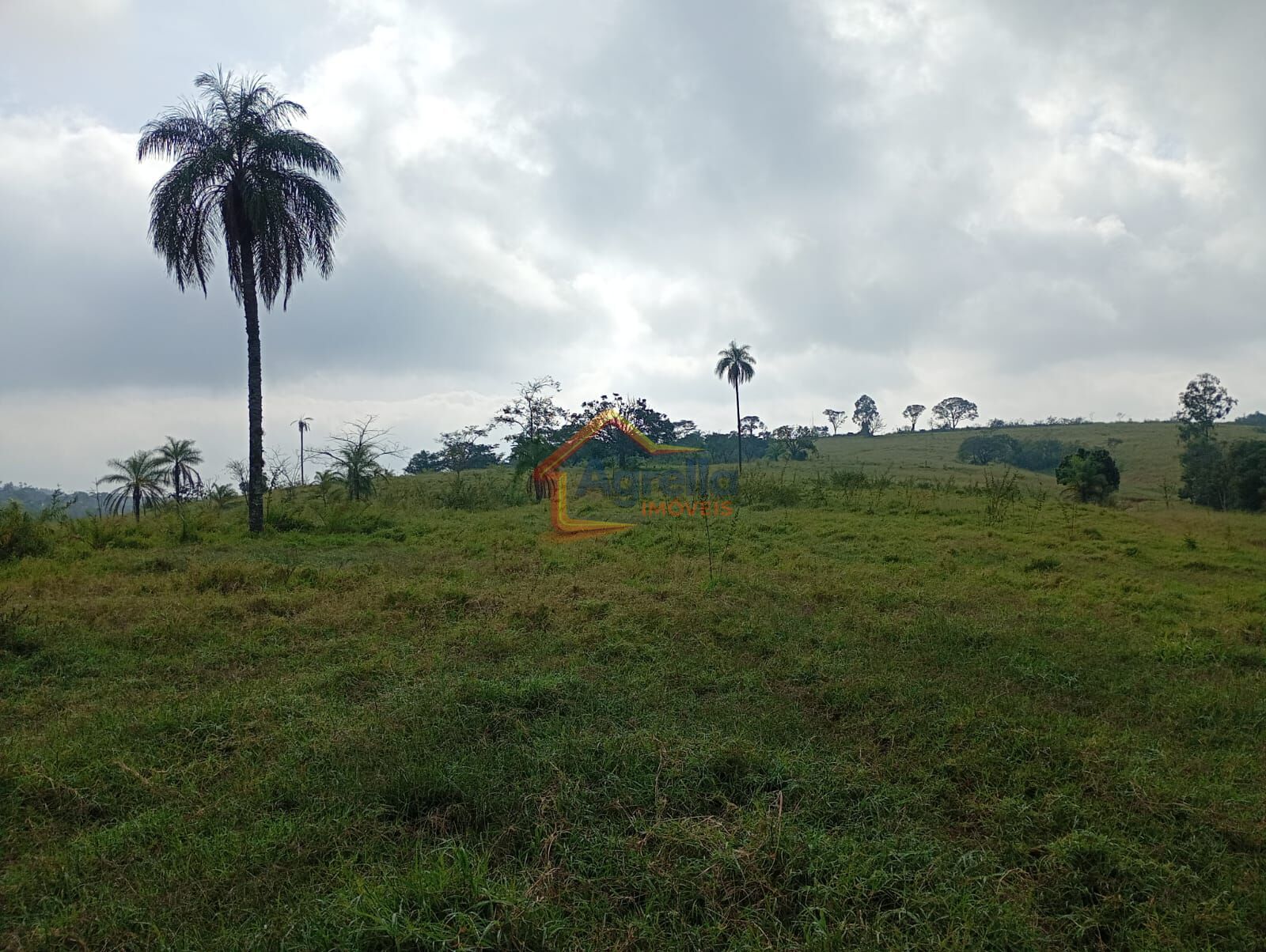 Chácara, 2 quartos, 27 hectares - Foto 12