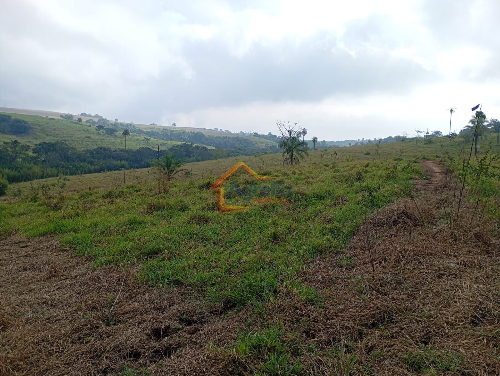 Chácara, 2 quartos, 27 hectares - Foto 14