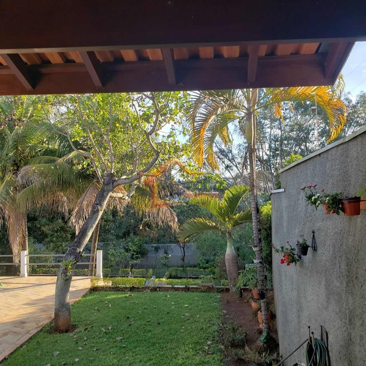 Sítio, 3 quartos, 1800 m² - Foto 29