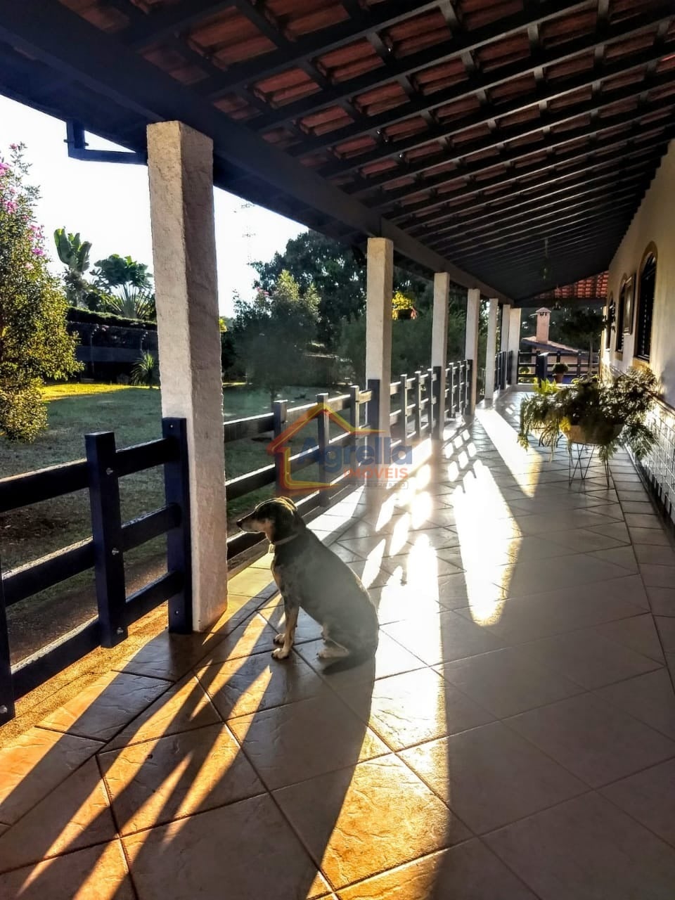 Sítio, 3 quartos - Foto 6