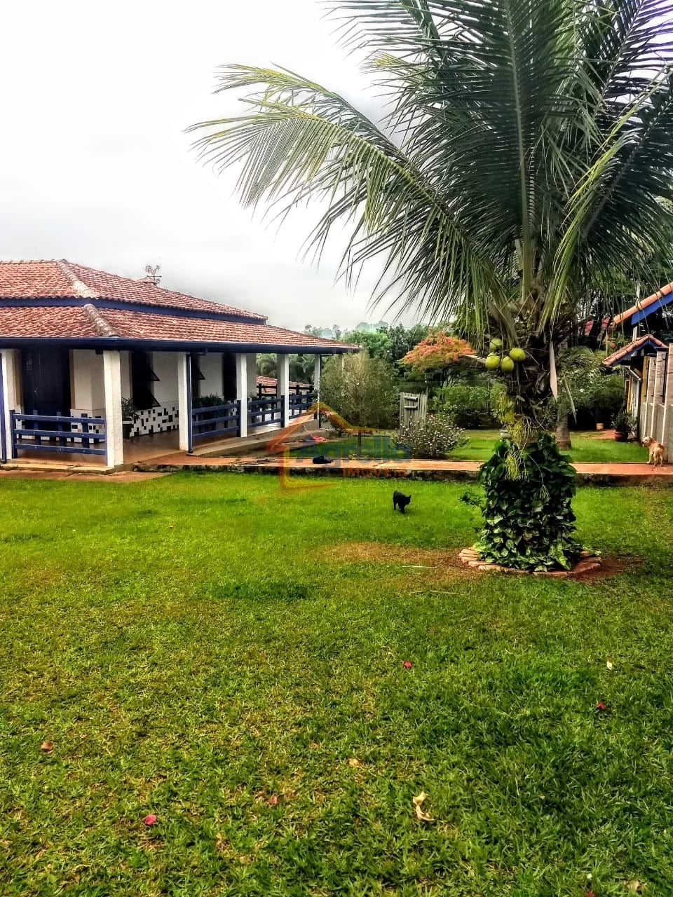 Sítio, 3 quartos - Foto 4