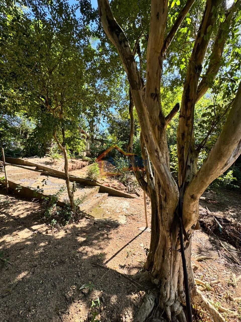 Chácara, 4 quartos, 1000 m² - Foto 18