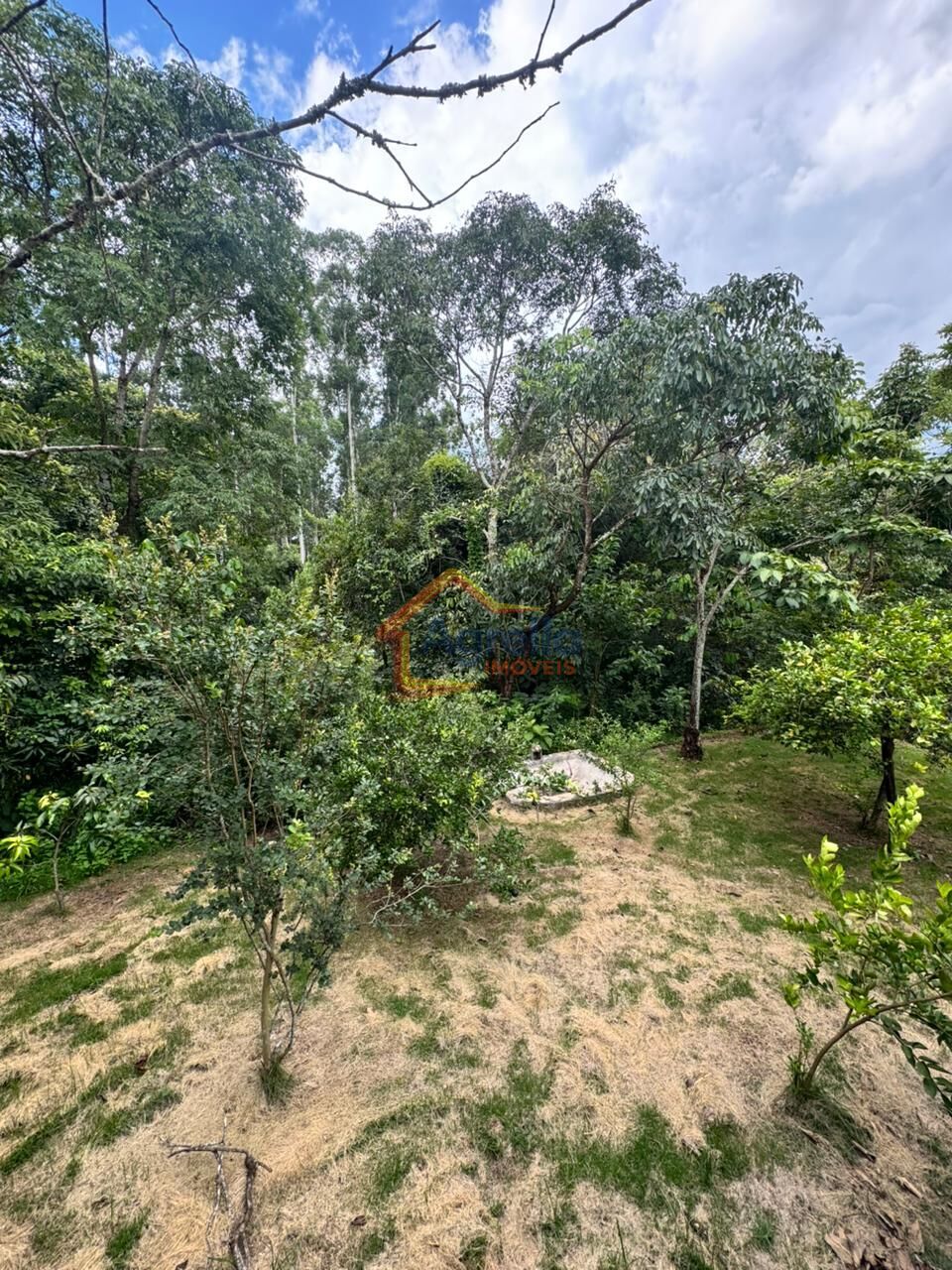 Sítio, 3 quartos, 1250 m² - Foto 18