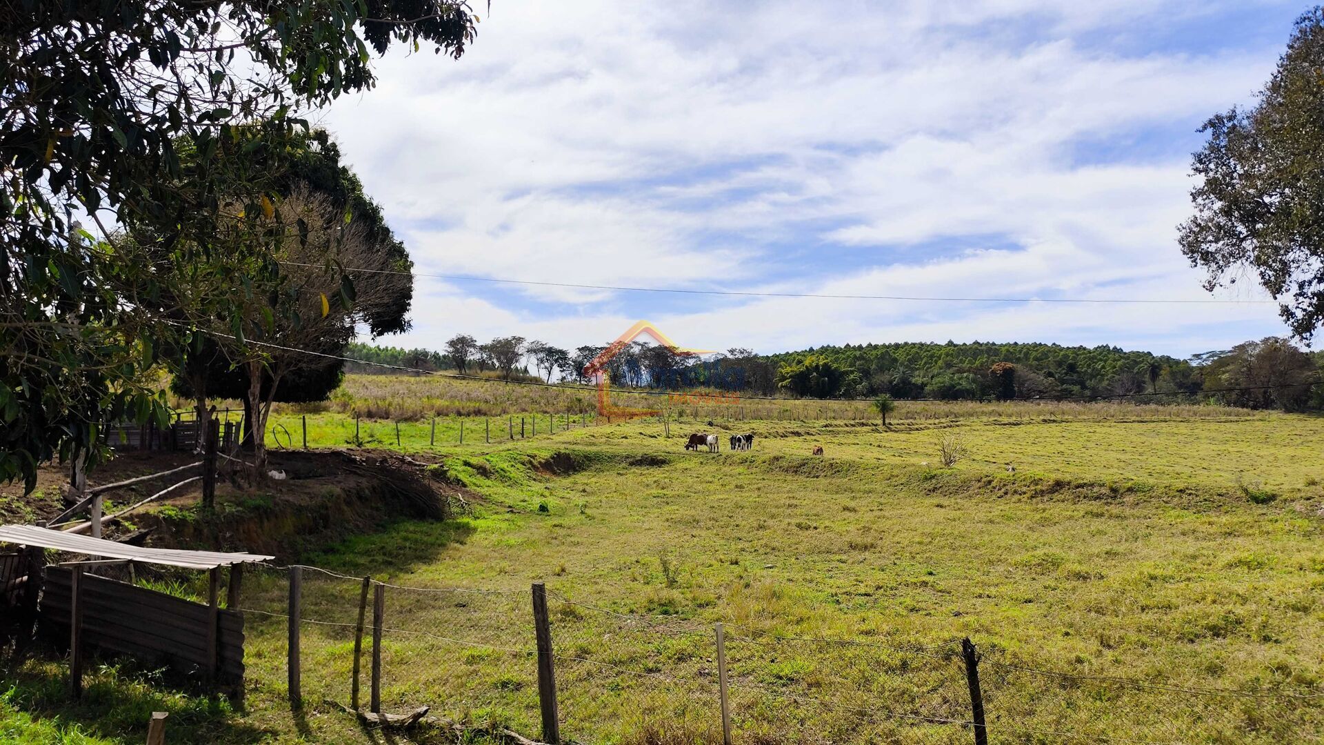 Sítio, 2 quartos, 16 hectares - Foto 13