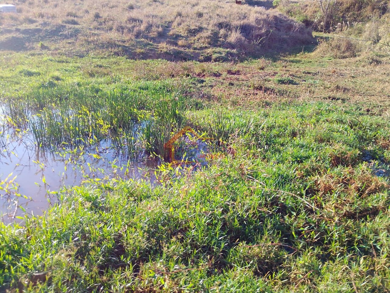 Sítio, 2 quartos, 16 hectares - Foto 22