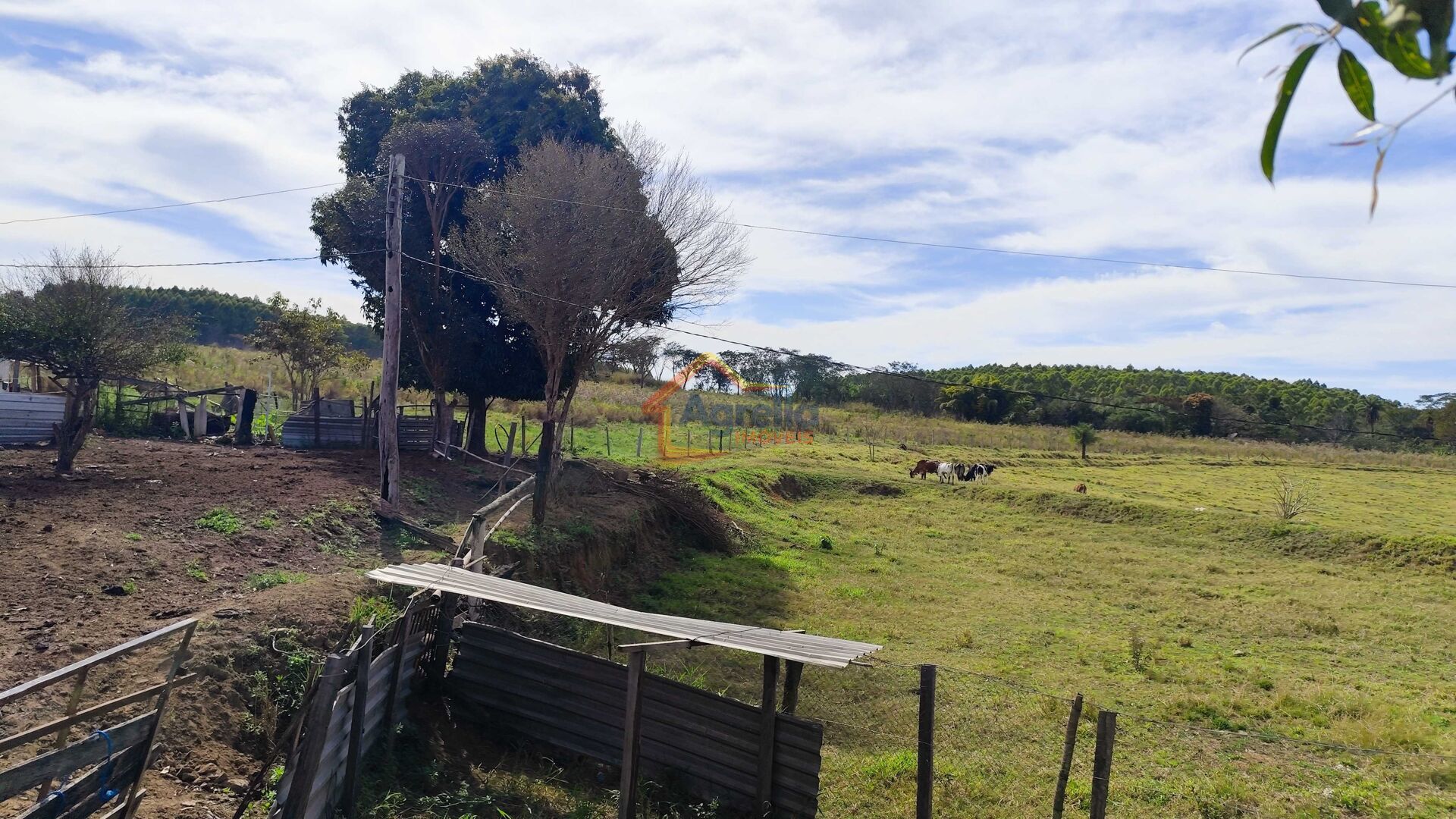 Sítio, 2 quartos, 16 hectares - Foto 10