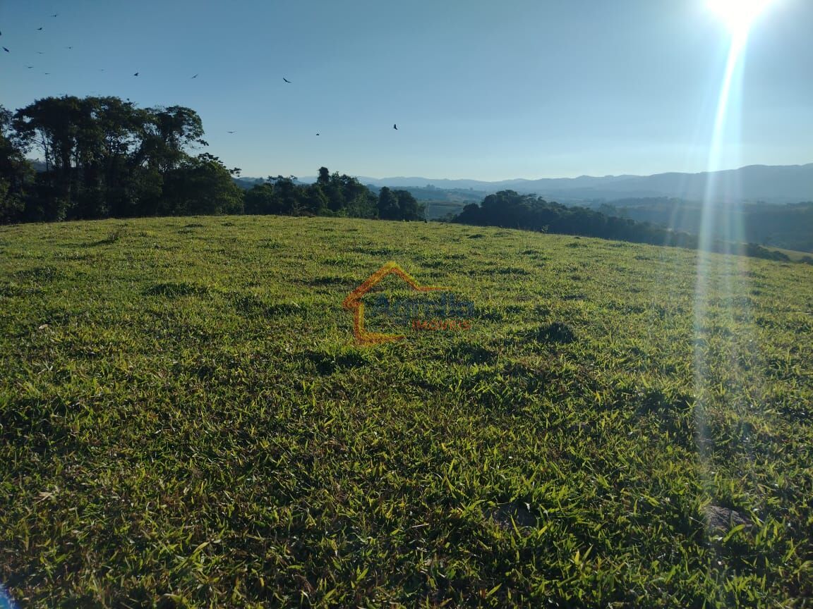 Sítio, 2 quartos, 16 hectares - Foto 19