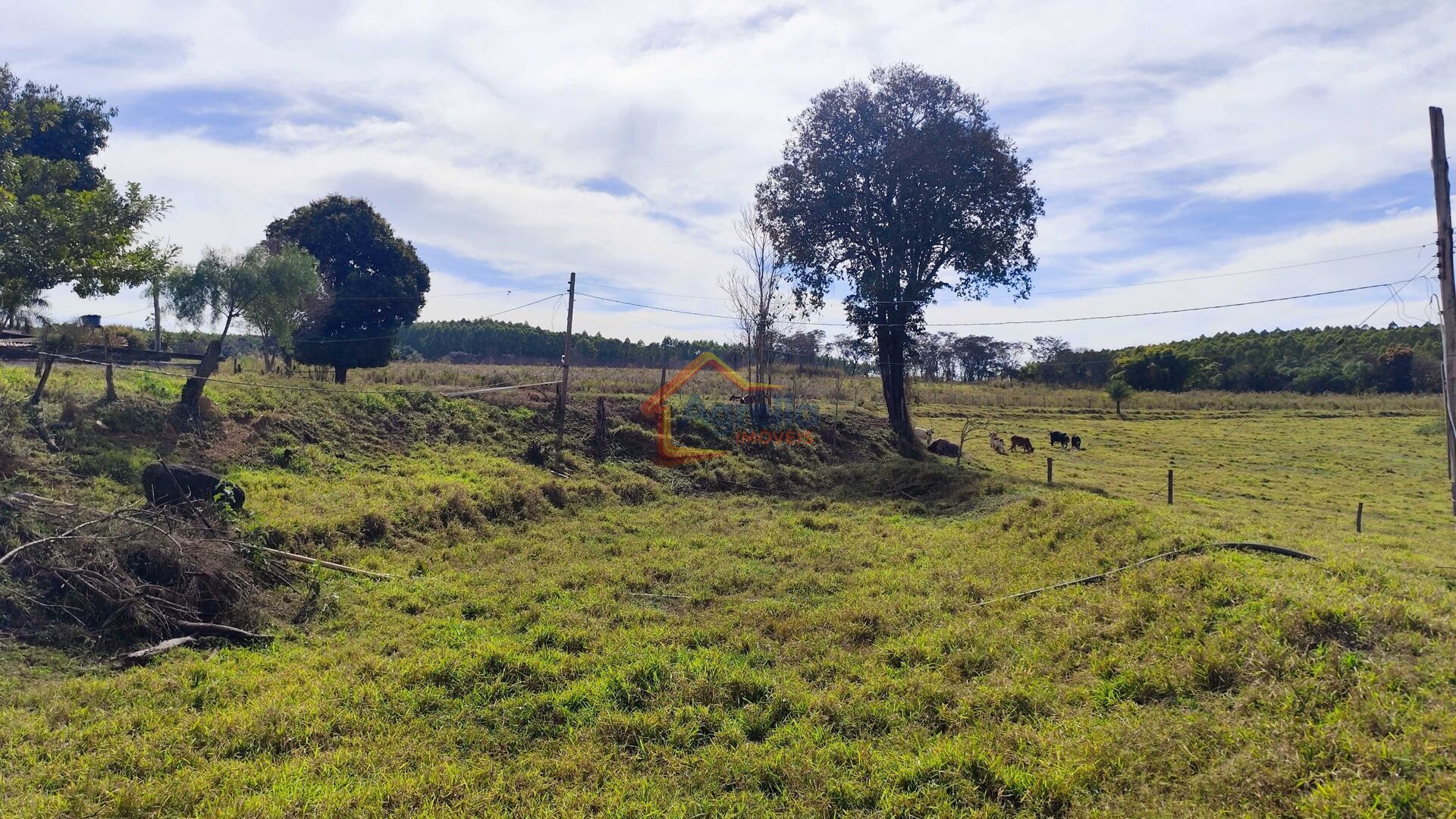 Sítio, 2 quartos, 16 hectares - Foto 16