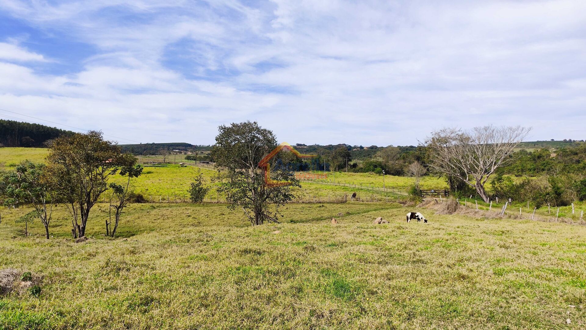Sítio, 2 quartos, 16 hectares - Foto 14