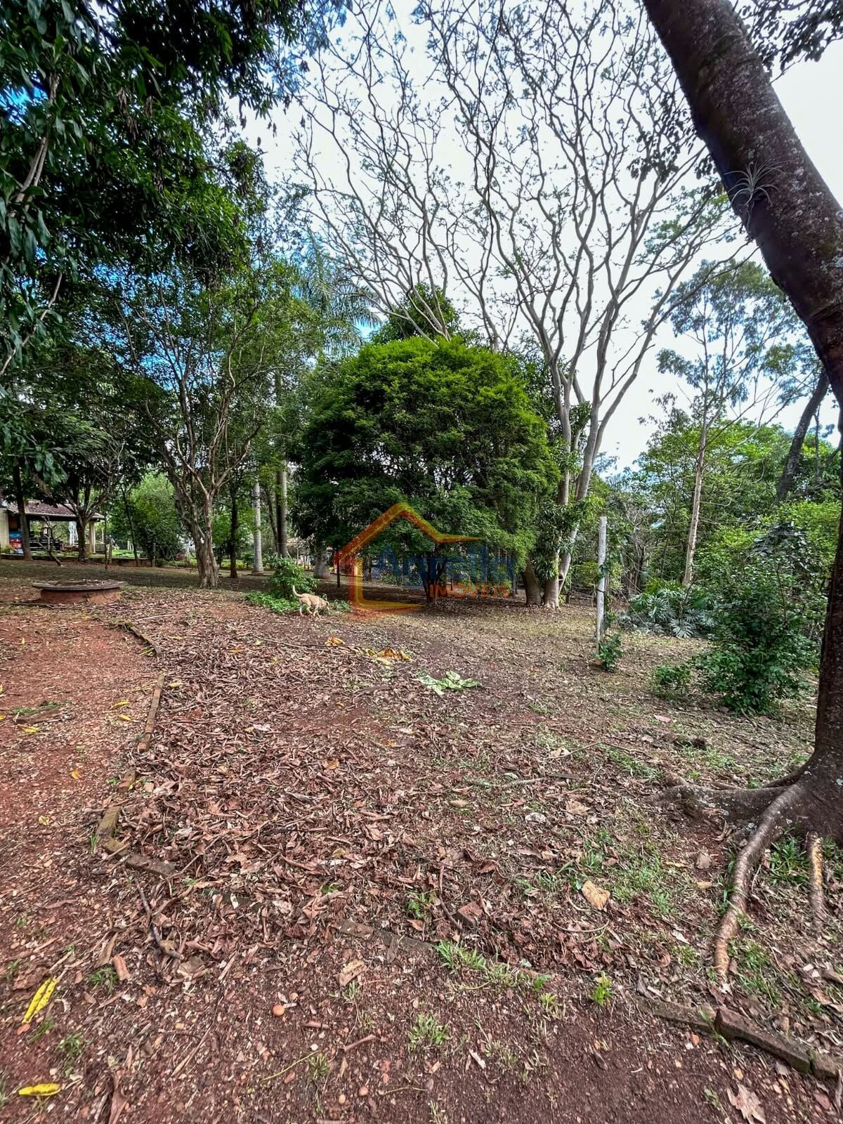 Chácara, 2 quartos, 1500 m² - Foto 14