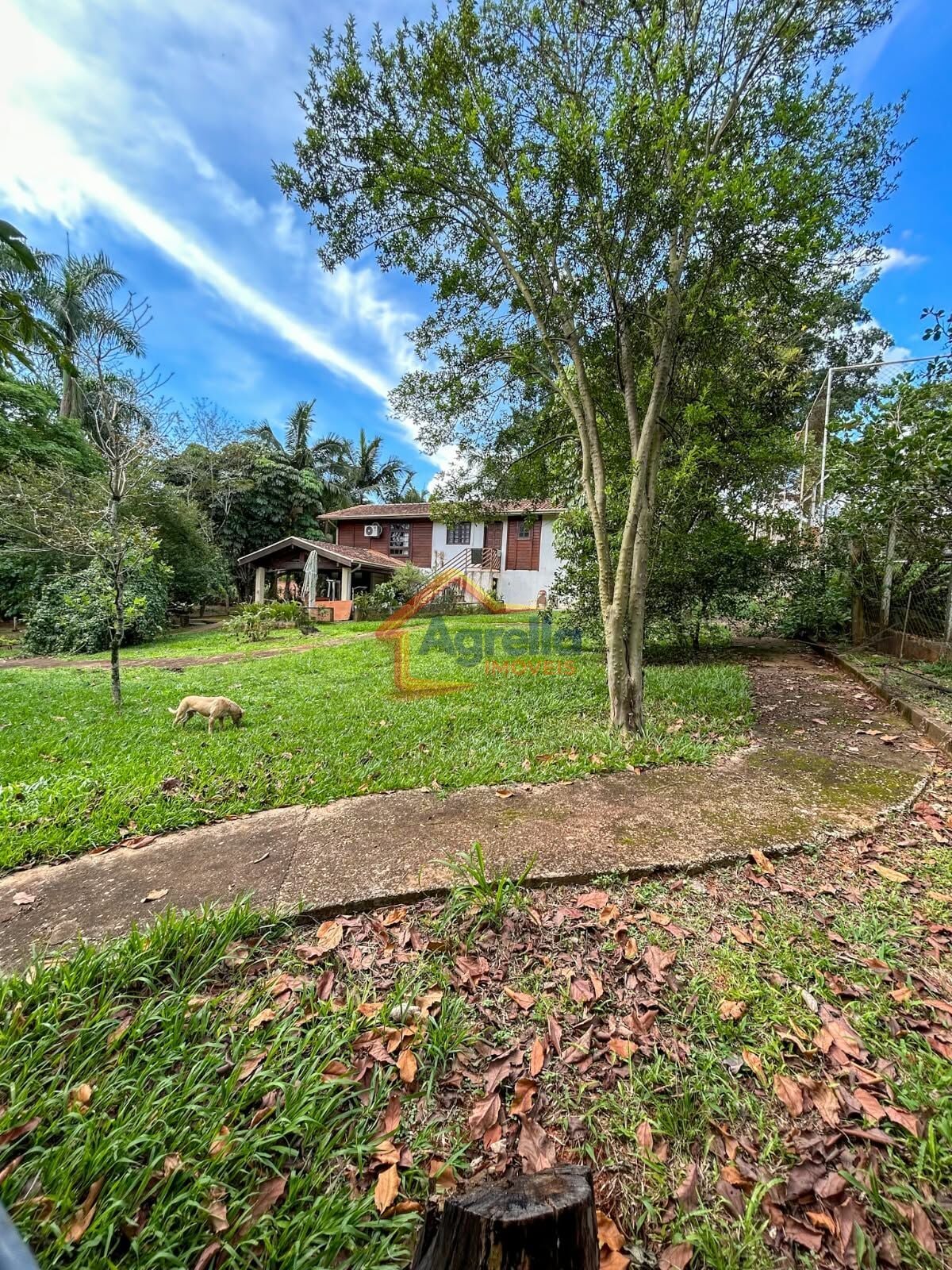 Chácara, 2 quartos, 1500 m² - Foto 10