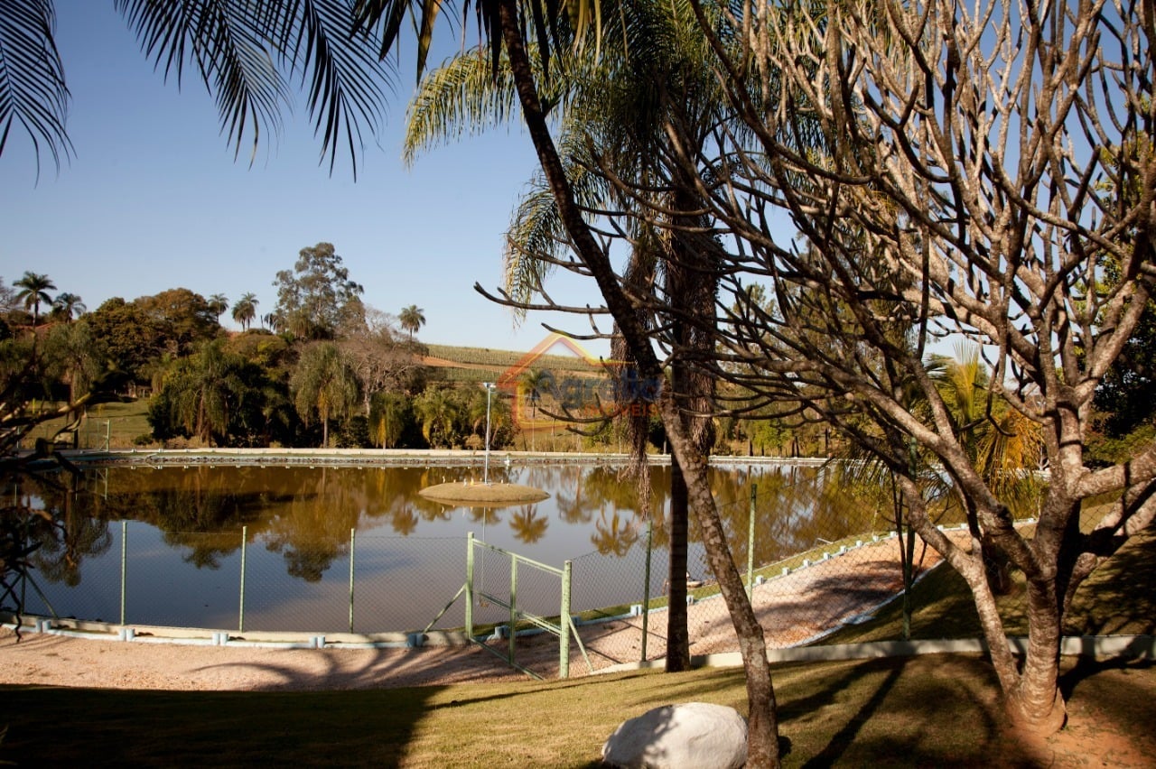 Sítio, 2 hectares - Foto 4