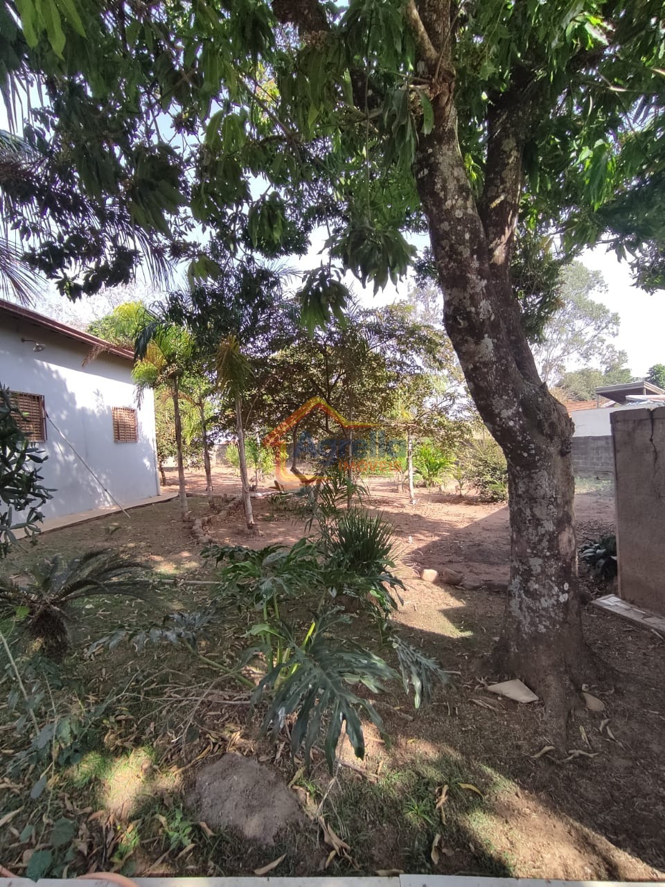 Sítio, 3 quartos, 219 m² - Foto 39