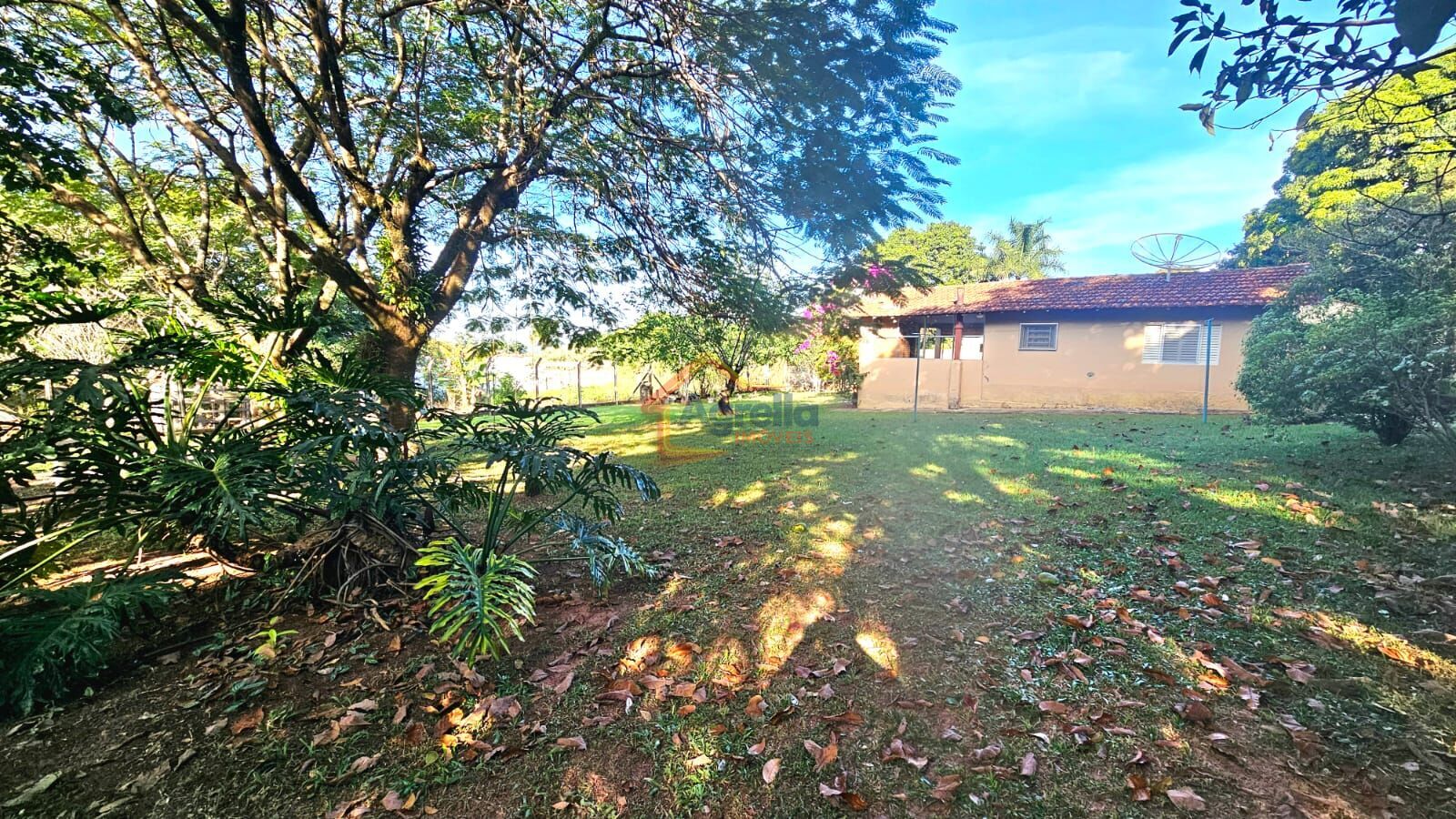 Chácara, 1 quarto, 1000 m² - Foto 7