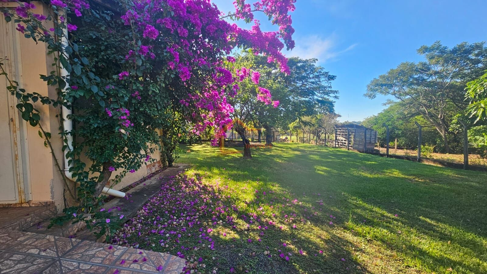 Chácara, 1 quarto, 1000 m² - Foto 13