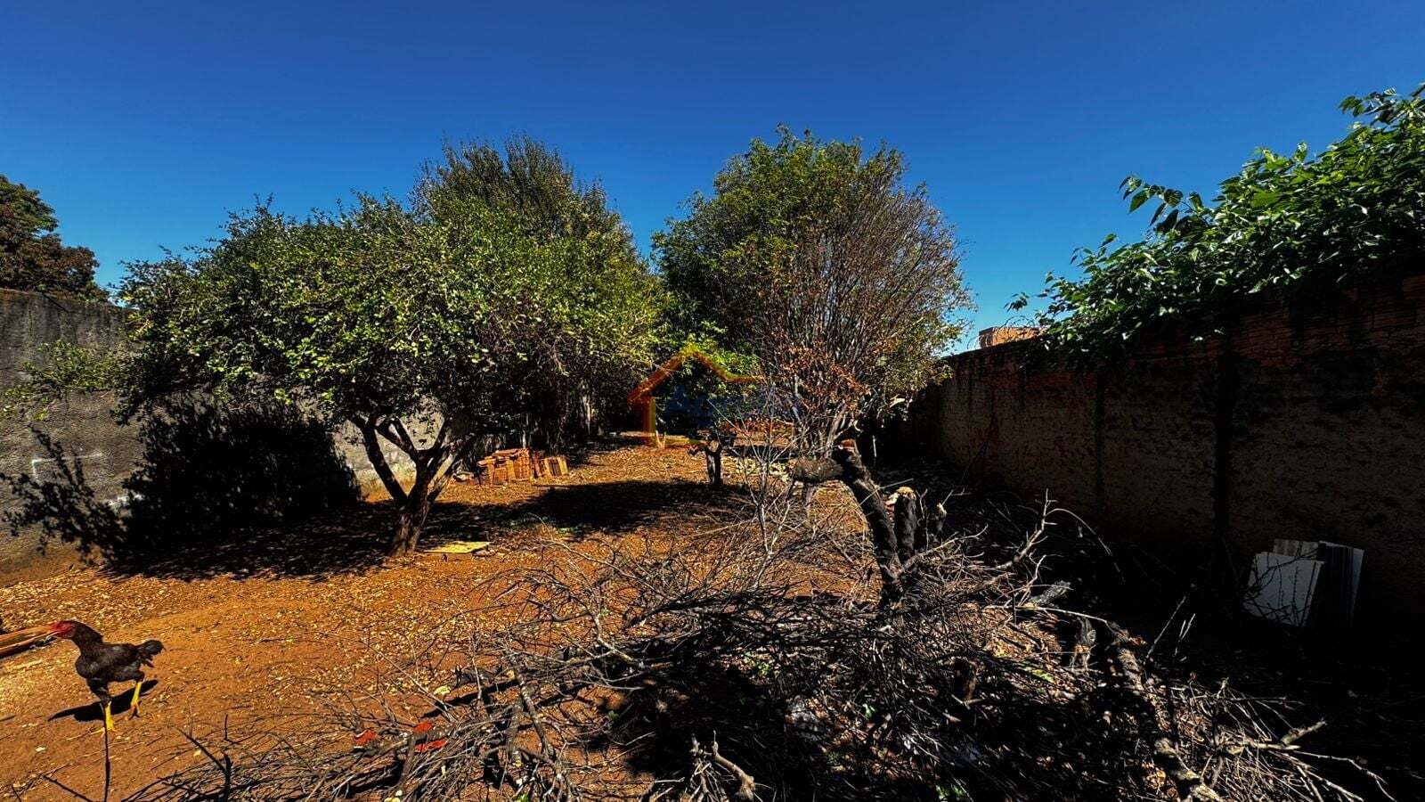 Casa, 3 quartos, 253 m² - Foto 31