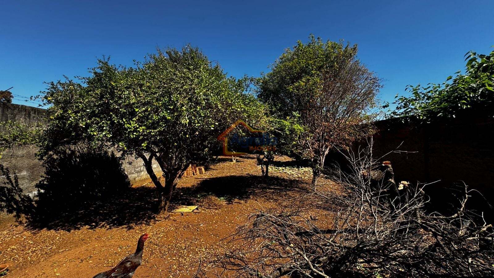 Casa, 3 quartos, 253 m² - Foto 32